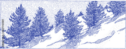 A blue and white drawing of trees. The trees are in a line and are on a hill. vector illustration