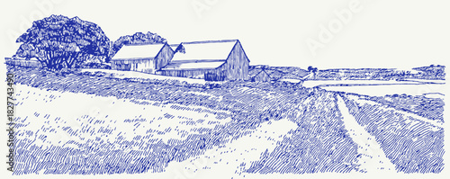 A blue and white drawing of a rural landscape with a road and houses. The houses are in the distance. vector illustration