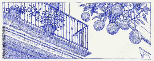 A blue and white drawing of a balcony with a railing and a tree. The railing has a bunch of oranges hanging from it. vector illustration
