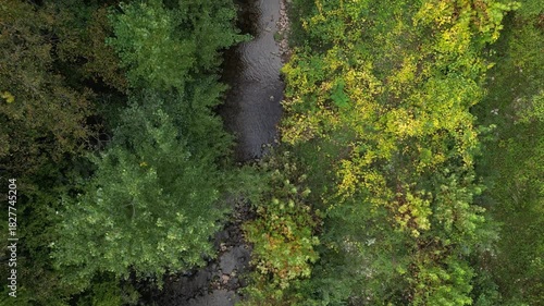 Aerial top down view of river flowing through green forest