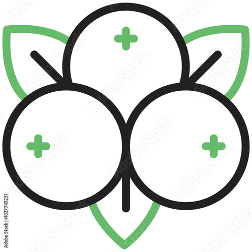 Fresh Fruit Cluster: An artistic depiction of three vibrant, juicy fruits nestled among delicate green leaves, symbolizing freshness and natural goodness.