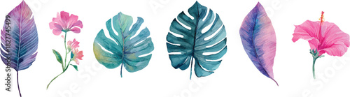 colorful feathers vector