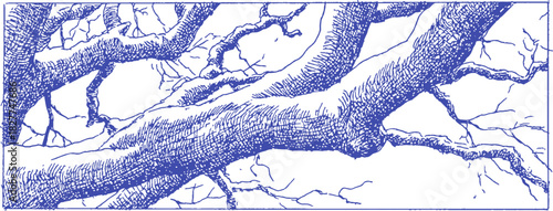 A blue and white drawing of a tree branch. The branch is thin and has a lot of detail. vector illustration
