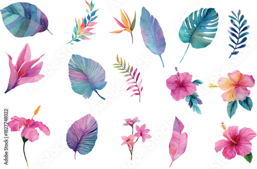 
Warm coloured flowers and tropical leaves