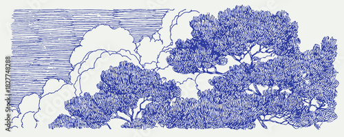 A blue and white drawing of trees and clouds. The trees are in the foreground and the clouds are in the background. vector illustration