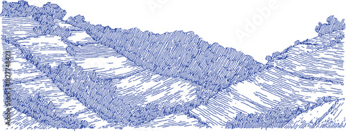 A blue and white drawing of a hillside with trees. The hill is covered in grass and there are some rocks scattered around. vector illustration