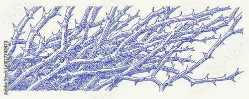 A blue and white drawing of a tree with many branches. The branches are very thin and the drawing is in black and white. vector illustration