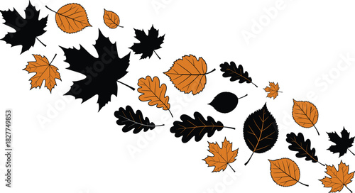 Autumn leaves, fall foliage, seasonal scatter, leaf shapes, orange and black, nature elements, wind motion, vector illustration