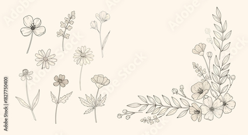 Botanical sketches of flowers and a floral corner arrangement on a beige background.