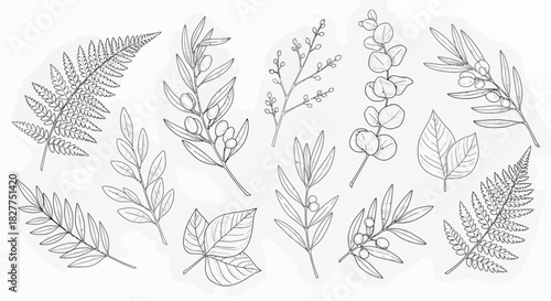 Botanical line art illustration of various leaves and branches.