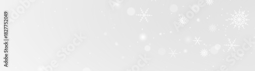 Frost ice snowflake frozen winter cold frame border white transparent decoration pattern.
