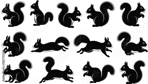 Diverse Black Squirrel Silhouettes Vector Set Featuring Sitting, Running, Jumping, and Posing for Wildlife, Autumn, Forest Fauna, and Rodent Animal Design Projects.