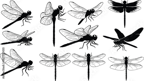 Diverse Black Dragonfly Silhouettes Vector Collection Featuring Detailed Wings and Various Poses for Nature, Summer, Insect, Pond Life,