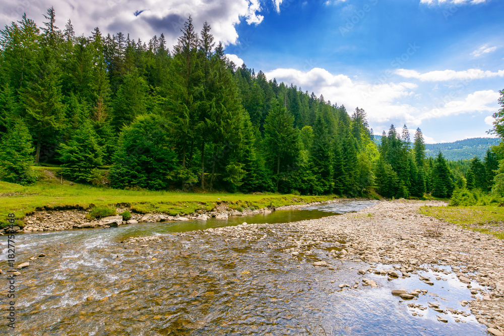 Obraz premium landscape with mountains, forest and a river in front. beautiful scenery in summer on a sunny day. water flowing through synevyr national park. natural background for ecology and sustainability