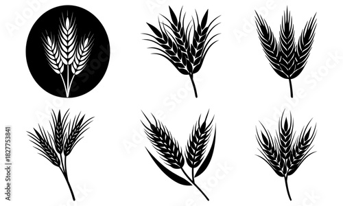 Elegant wheat stalk illustrations perfect for rustic designs, bakery logos, and organic food branding, representing harvest, agriculture, and natural beauty
