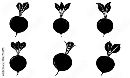 Fresh beets harvest, elegant silhouettes of garden vegetables, simple healthy eating concept, nutrition and wellness, farmer's market goodness