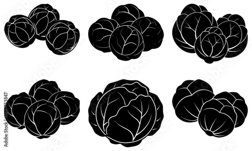 Fresh cabbage collection, organic vegetables for healthy eating, vegan diet, vibrant farm fresh produce, delicious vegetarian cuisine, raw food ingredients