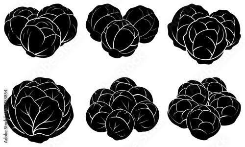 Fresh Brussels sprouts collection, perfect for healthy food designs, vegetarian restaurant menus, organic farm promotions, and nutritional content creation