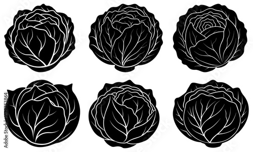 Fresh cabbage heads, vibrant vegetable assortment, organic food design element, healthy eating concept, natural diet, produce market, farm fresh ingredients