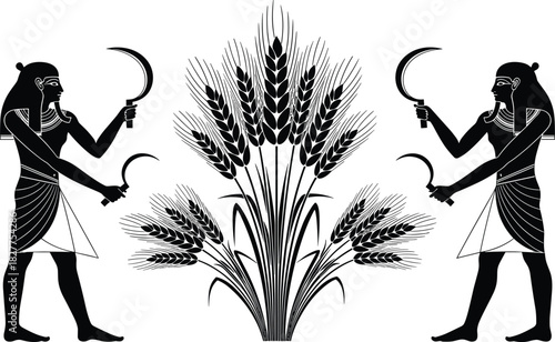 Ancient Egyptian men harvesting big wheat crops using sickles, vector black and white illustration of historical farming scene isolated on white background.