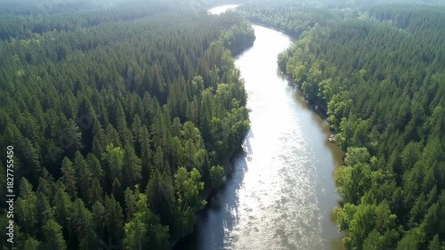 Aerial view of a winding river flowing through a lush green forest.