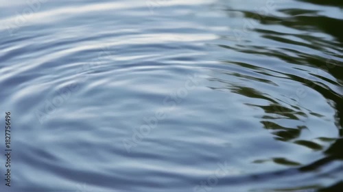 Close up of water ripples from a drop falling into the surface.