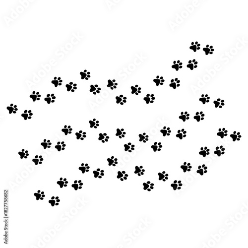 Paw vector foot trail print of cat. Dog, puppy silhouette