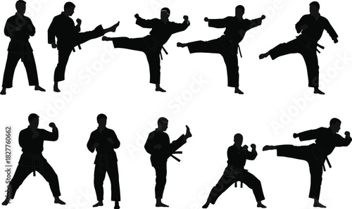 Black silhouettes of martial artists performing karate kicks and stances martial arts