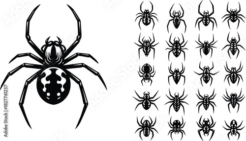 Collection of Black Silhouette Spiders with Detailed Abdomens on White Background