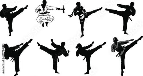 Collection of martial arts fighters performing kicks in silhouette karate kickboxing