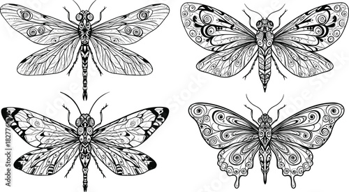 Four black and white detailed insect illustrations with ornate wings butterfly dragonfly