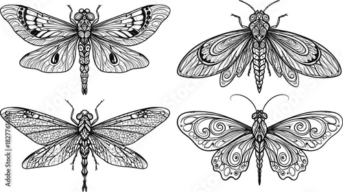 Four detailed black and white line art insects dragonfly and moth designs butterfly