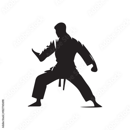 silhouette of a young man doing martial arts