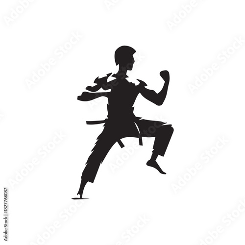 vector illustration of a martial artist