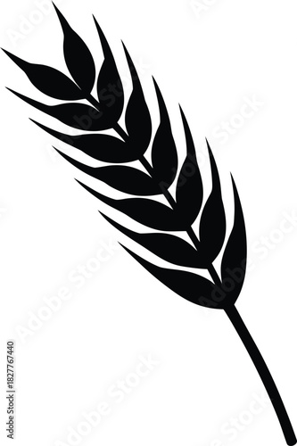 Minimalist outline of a single wheat grain in vector format