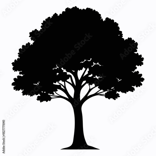 Tree Silhouette vector clean black silhouette design white background