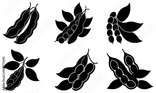 Harvest fresh soybeans for healthy eating, farm-to-table goodness, and simple living, delivering nature's nutritional benefits from sustainable agriculture