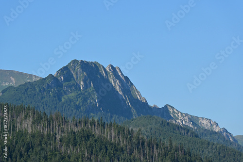 Fototapeta Naklejka Na Ścianę i Meble -  Giewont Mountain, Tatra National Park, Zakopane, Poland. Giewont peak seen from Cyrhla village. Cloudless summer day