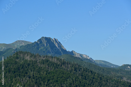 Fototapeta Naklejka Na Ścianę i Meble -  Giewont Mountain, Tatra National Park, Zakopane, Poland. Giewont peak seen from Cyrhla village. Cloudless summer day