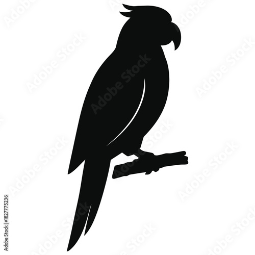 Parrot silhouette on branch, tropical bird icon black exotic pet symbol
