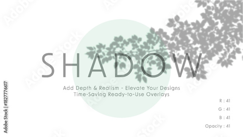 Minimalist vector art with soft green circle and realistic leafy branch shadows behind large shadow typography on white background, elegant light grey text layout for modern design