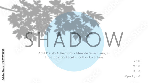 Minimalist vector art of soft tree leaf shadow overlay inside pale blue circle with large word shadow on white background, subtle daylight lighting, horizontal layout