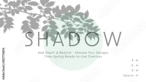 Soft minimalist vector art with leafy branch shadows over mint green circle and large shadow typography on white background in gentle diffused daylight mood