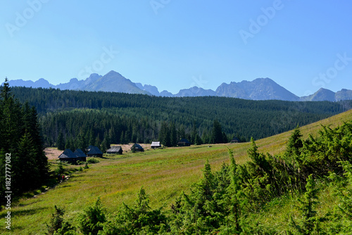Fototapeta Naklejka Na Ścianę i Meble -  Olczyska Valley, Kopieniec Meadow (polish: Polana Kopieniec) with characterictic wooden cottages. Tatra Mountains, Tatra National Park, Zakopane, Poland