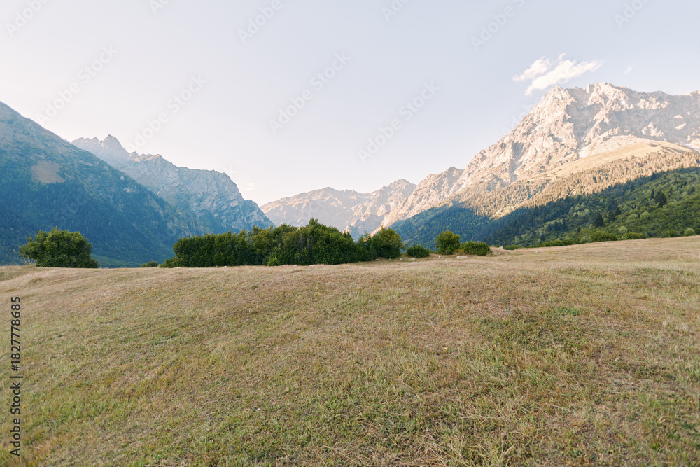 Obraz premium Meadow, mountains, landscape, field, nature, grass in wide open valley with shrubs and distant peaks under clear sky and soft sunlight, scenic outdoor view ideal for travel and relaxation.