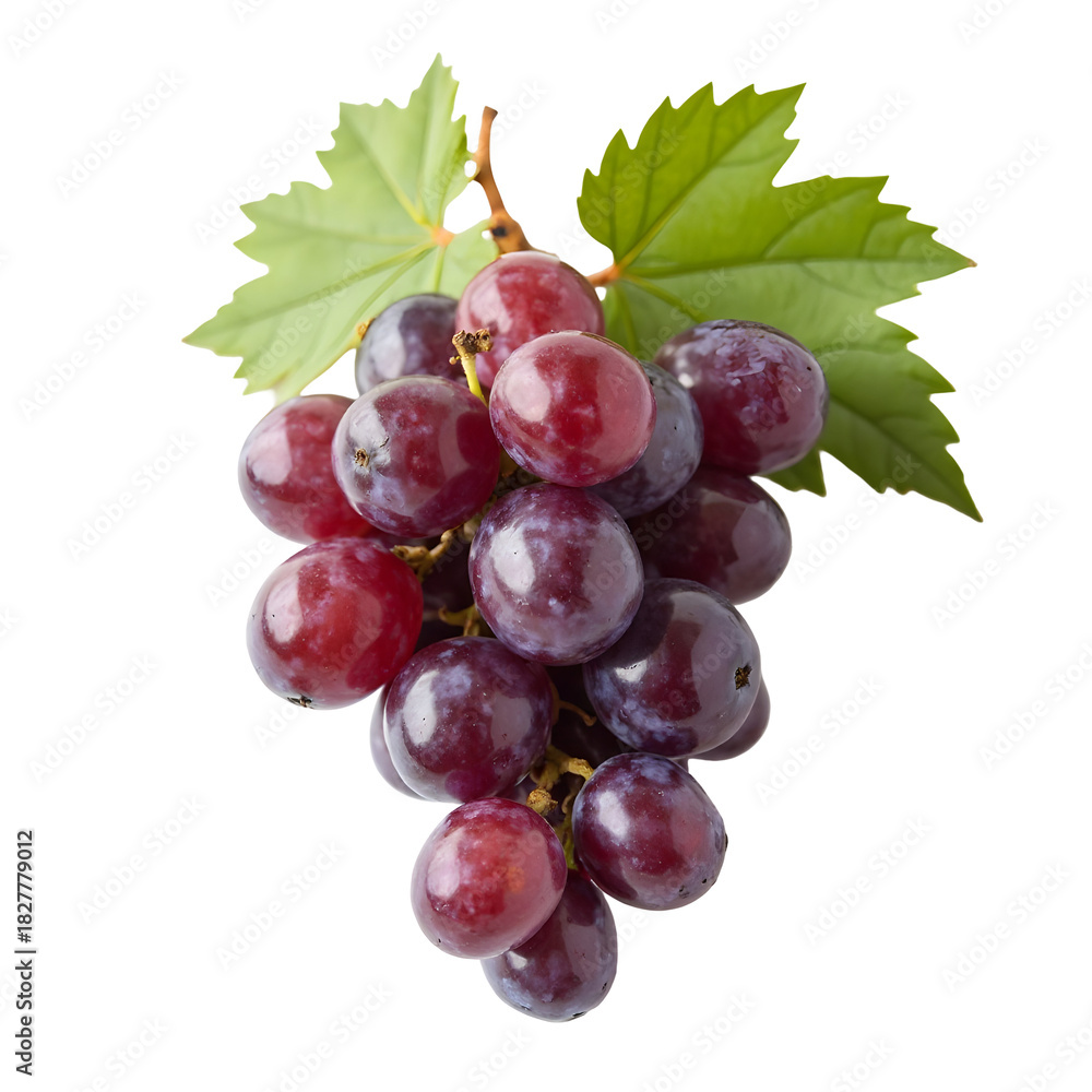 Fototapeta premium Grapes isolated on white