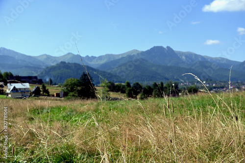 Fototapeta Naklejka Na Ścianę i Meble -  Fantastic view of the Tatra Mountains, located off the beaten track. Tatra Mountains viewpoint near Zakopane - Gawlaki Walkosze street, Poland