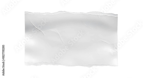 Wallpaper Mural Blank Torn Paper Background with Wrinkled Texture and White Edge Details Torontodigital.ca