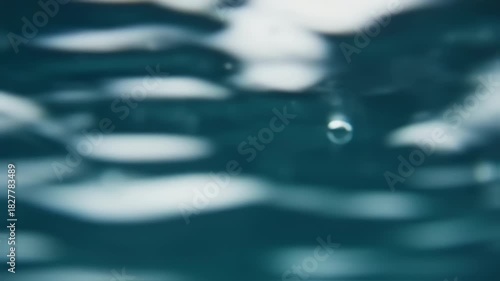 Underwater Reflections Serenity A Captivating Glimpse Beneath the Surface.