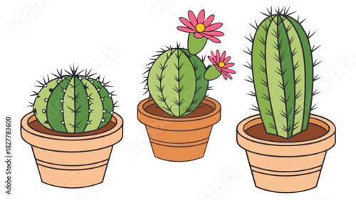 Lush green potted cacti illustration set with prickly spines and vibrant pink desert flowers, bringing a touch of nature and botany indoors